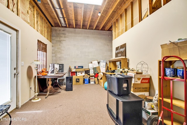 miscellaneous room featuring carpet floors