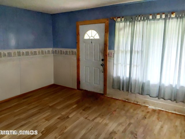 foyer entrance with a wealth of natural light and hardwood / wood-style flooring