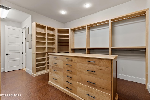 view of walk in closet