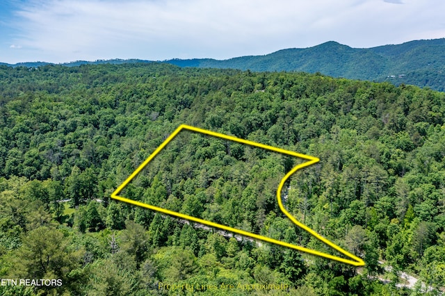 Listing photo 3 for LT.34 Chilhowee Loop, Walland TN 37886