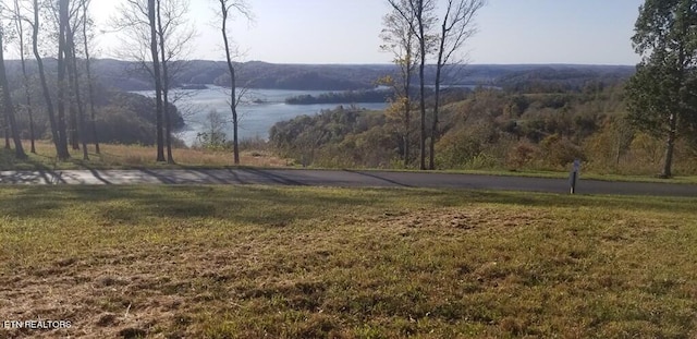 Listing photo 2 for LOT7C Swan Ridge Rd, Hilham TN 38568