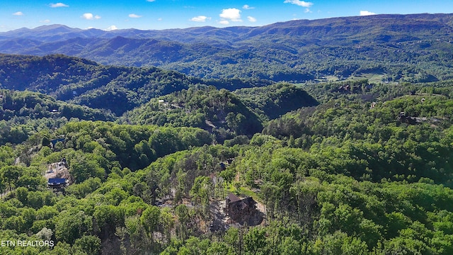 property view of mountains