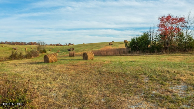 Listing photo 3 for 8634 Shackleford Ln, Strawberry Plains TN 37871