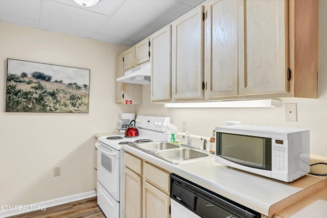 kitchen featuring a paneled ceiling, light brown cabinetry, sink, white appliances, and hardwood / wood-style flooring