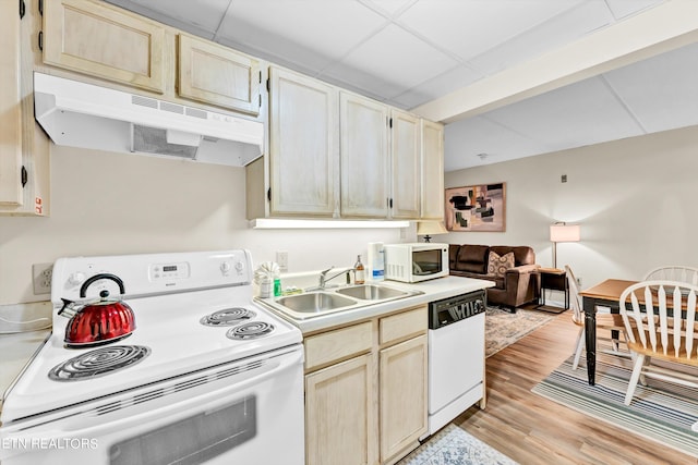 kitchen with white appliances, light brown cabinetry, sink, light wood-type flooring, and a paneled ceiling