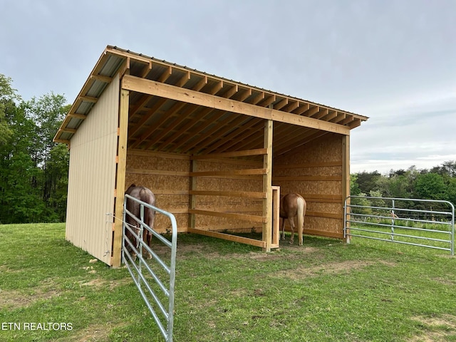 view of shed / structure