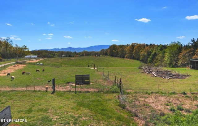 view of yard featuring a rural view