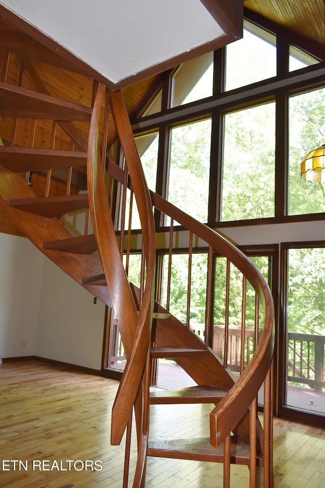 staircase featuring plenty of natural light and wood-type flooring