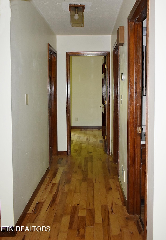 hallway featuring wood-type flooring