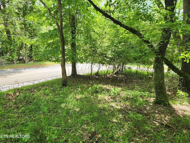 380 Chelaque Way, Mooresburg TN, 37811 land for sale