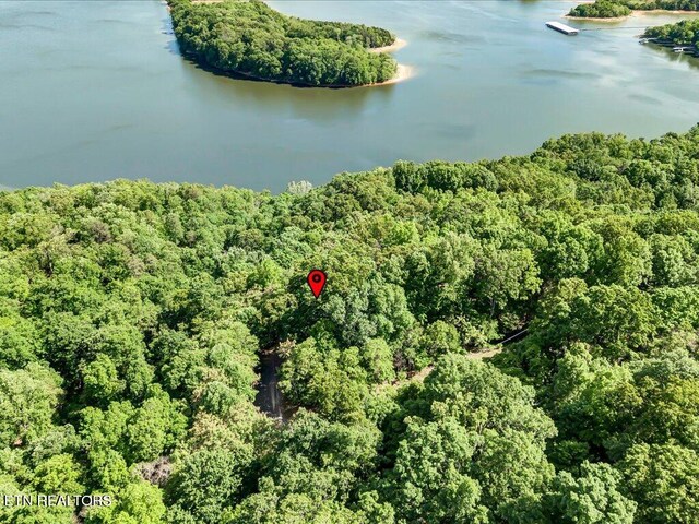 1202 Keetoowah Dr, Mooresburg, TN 37811 - photo 6