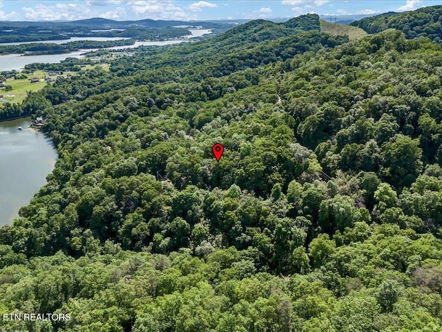 1202 Keetoowah Dr, Mooresburg, TN 37811 - photo 7