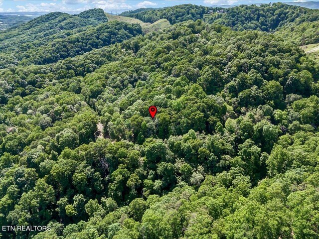 1202 Keetoowah Dr, Mooresburg, TN 37811 - photo 8