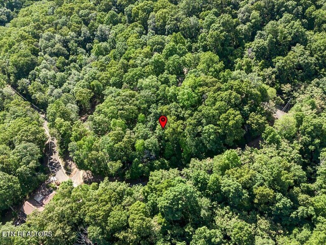 1202 Keetoowah Dr, Mooresburg, TN 37811 - photo 9