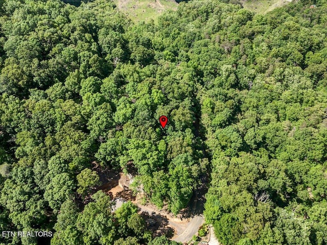 1202 Keetoowah Dr, Mooresburg, TN 37811 - photo 10