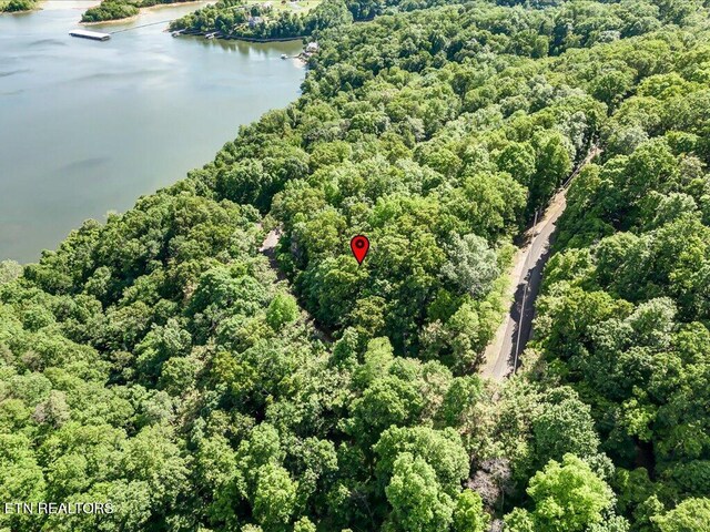 1202 Keetoowah Dr, Mooresburg, TN 37811 - photo 14