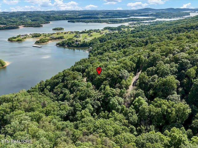 1202 Keetoowah Dr, Mooresburg, TN 37811 - photo 15