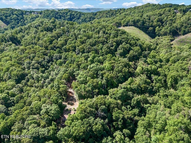 1202 Keetoowah Dr, Mooresburg, TN 37811 - photo 16