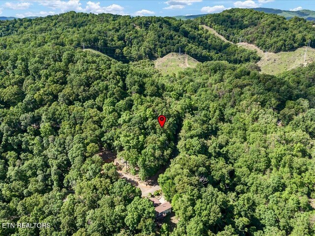 1202 Keetoowah Dr, Mooresburg, TN 37811 - photo 17