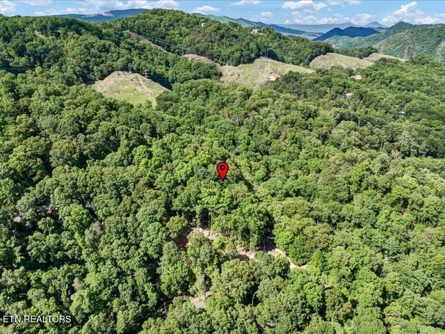 1202 Keetoowah Dr, Mooresburg, TN 37811 - photo 18
