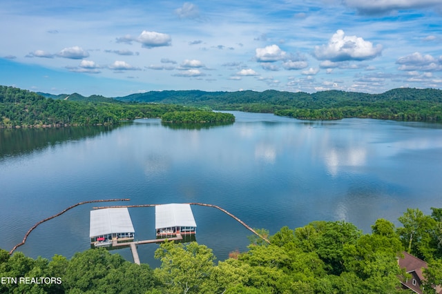 1202 Keetoowah Dr, Mooresburg, TN 37811 - photo 29