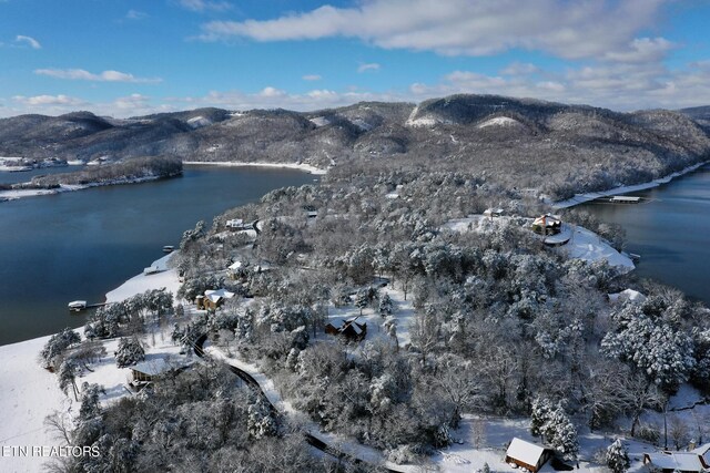 1202 Keetoowah Dr, Mooresburg, TN 37811 - photo 31