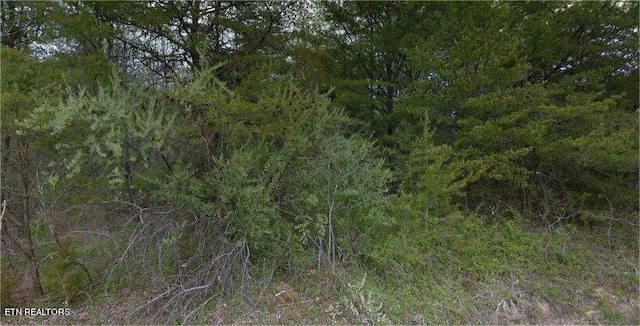 525 Brave Ln, Crossville TN, 38572 land for sale