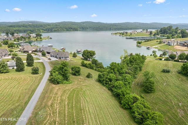 Shainas Pl, Sharps Chapel TN, 37866 land for sale