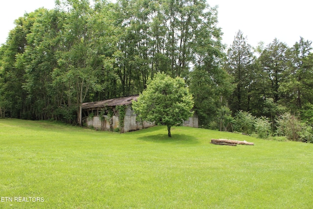 view of yard