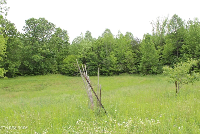 view of landscape