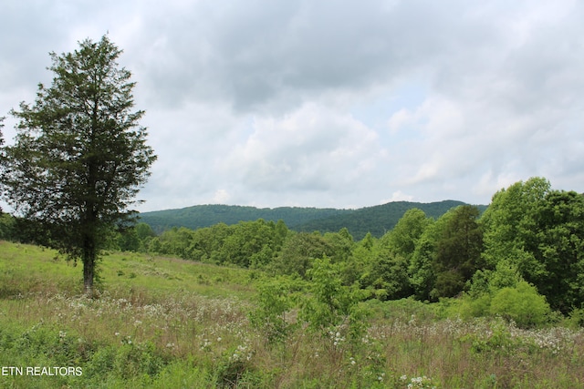 view of mountain feature