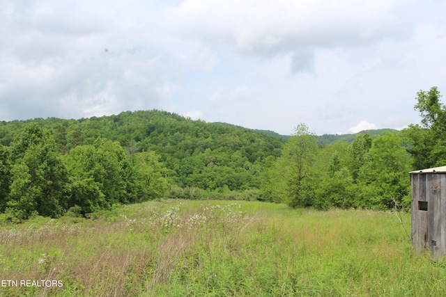 view of mountain feature