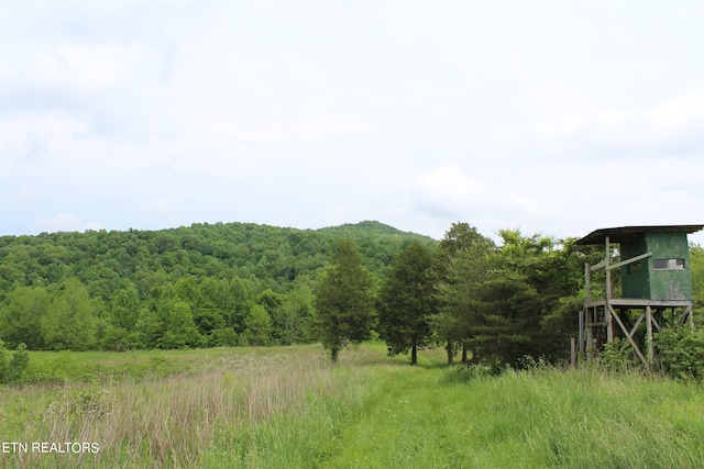 view of mountain feature