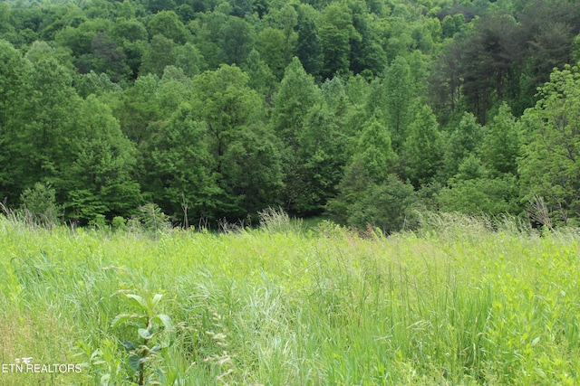 view of landscape