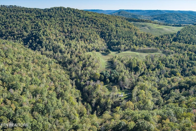 bird's eye view with a mountain view