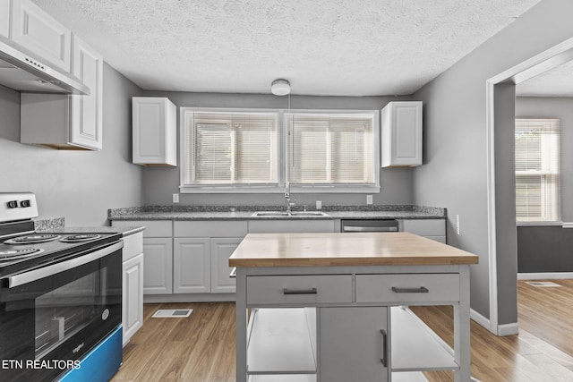 kitchen featuring extractor fan, plenty of natural light, sink, and range with electric cooktop