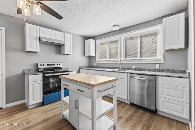 kitchen featuring ceiling fan, stainless steel appliances, hardwood / wood-style flooring, and sink