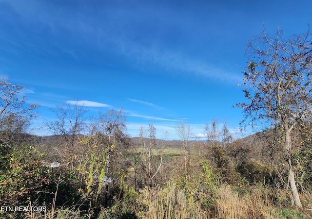 Shuler Dr, Pennington Gap VA, 24277 land for sale