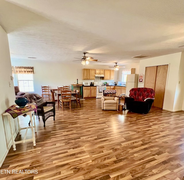 living room featuring light hardwood / wood-style floors and ceiling fan