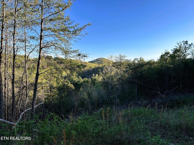 Listing photo 2 for TRACT2 SW Owl Hollow Rd, Mcdonald TN 37353