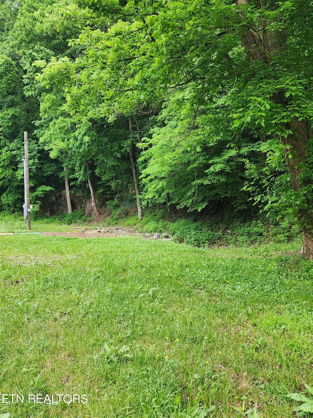 12713 Chapman Hwy, Seymour TN, 37865 land for sale