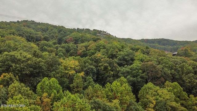 view of mountain view