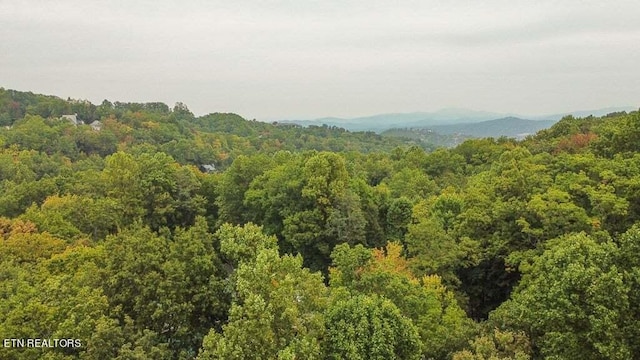 view of property view of mountains