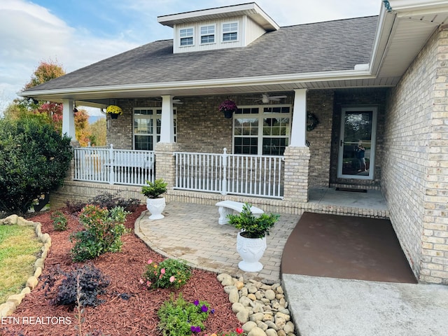 doorway to property with covered porch, brick siding, and roof with shingles