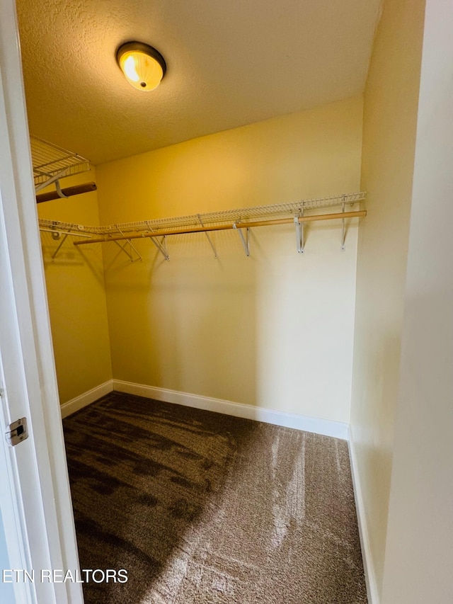 walk in closet featuring carpet flooring