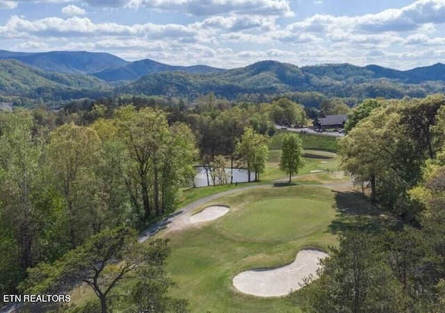 bird's eye view with a mountain view