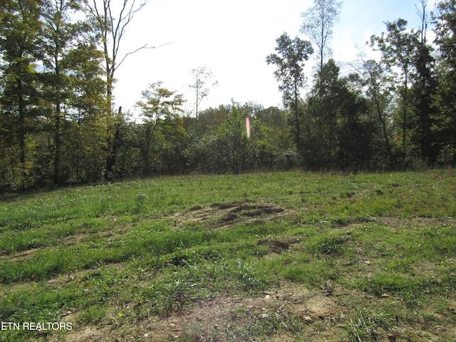 Listing photo 2 for 30.10AC Livingston Hwy, Celina TN 38551