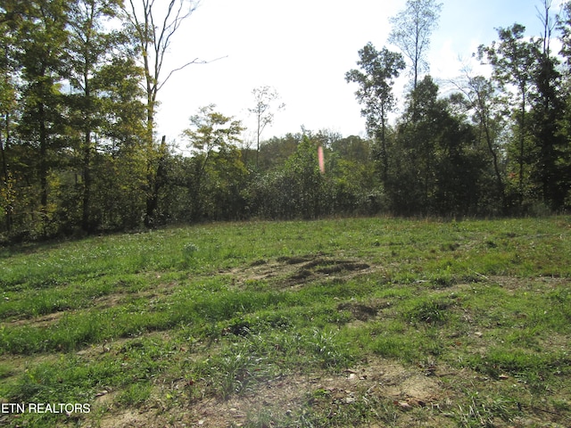 Listing photo 3 for 30.10AC Livingston Hwy, Celina TN 38551