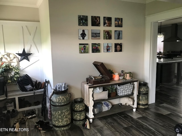 interior space featuring dark hardwood / wood-style floors and crown molding