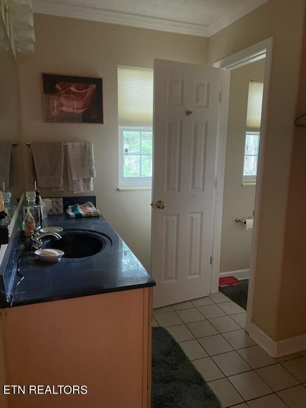 kitchen featuring sink, crown molding, and light tile flooring